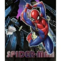 Puzzle Spiderman PREMIUM PLUS KIDS 300 el. Trefl (23047)