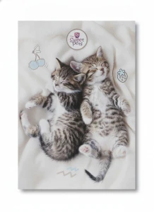 Zeszyt A4 the sweet pets 60k. 70g krata Beniamin