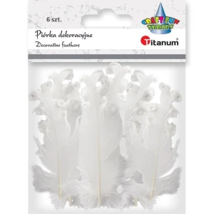 Piórka Titanum Craft-Fun Series biały 6 szt