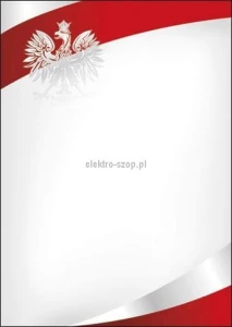 Dyplom Galeria Papieru Symbol N A4 170g (216617)