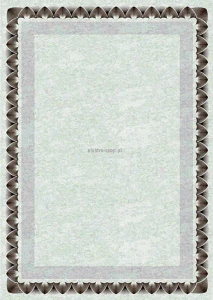 Dyplom Galeria Papieru arkady złote A4 170g (210717)