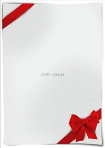 Dyplom Galeria Papieru Verso C A4 170g (213117)