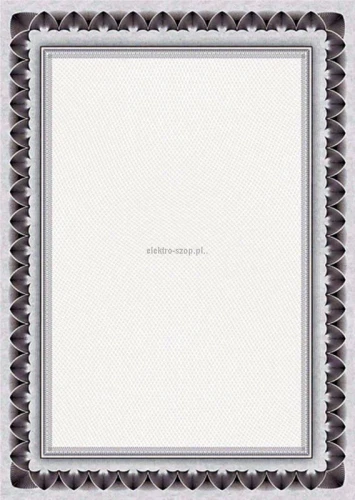 Dyplom Galeria Papieru arkady niebieskie A4 170g (210817)