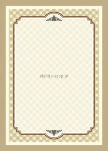 Dyplom Galeria Papieru Retro A4 170g (217917)