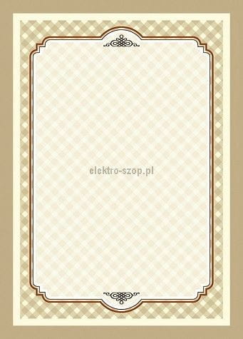 Dyplom Galeria Papieru Retro A4 170g (217917)
