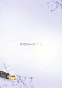 Dyplom Galeria Papieru Styl A4 100g (233110)