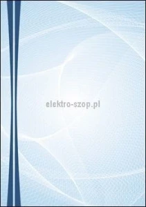 Dyplom Galeria Papieru Graphic A4 170g (217217)