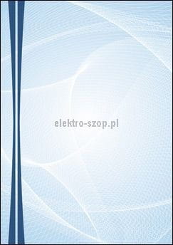 Dyplom Galeria Papieru Graphic A4 170g (217217)