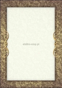 Dyplom Galeria Papieru Arras A4 170g (216217)
