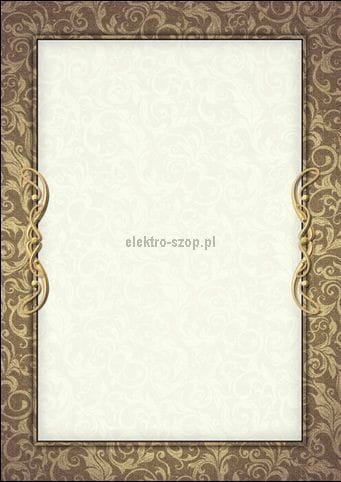 Dyplom Galeria Papieru Arras A4 170g (216217)