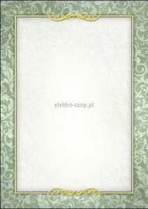 Dyplom Galeria Papieru Arras A4 170g (216317)