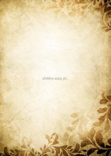 Dyplom Galeria Papieru amber A4 170g (215517)