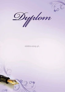 Dyplom Galeria Papieru classic A4 170g (214917)