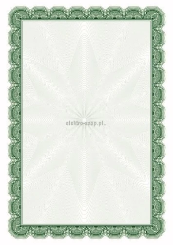 Dyplom Galeria Papieru A4 170g (210417)