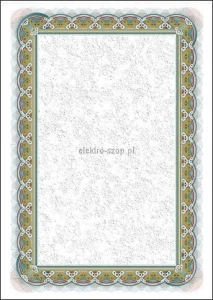 Dyplom Galeria Papieru Srebro A4 250g (210125)
