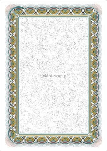 Dyplom Galeria Papieru Srebro A4 250g (210125)