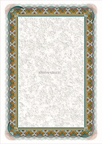 Dyplom Galeria Papieru srebro A4 170g (210117)