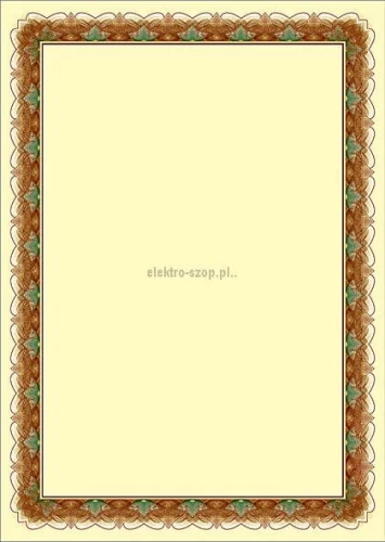 Dyplom Galeria Papieru złoto A4 250g (210225)