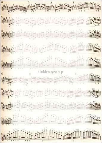 Dyplom Galeria Papieru Nuty A4 170g (213317)