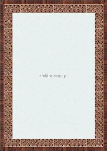 Dyplom Galeria Papieru Safari A4 170g (211917)