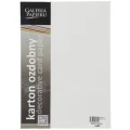 Papier ozdobny (wizytówkowy) Galeria Papieru pacific biały A4 - biały 200g (204001)