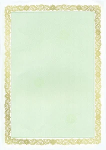 Dyplom Galeria Papieru maori zielony A4 190g (210319)