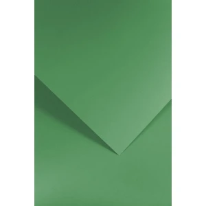 Papier ozdobny (wizytówkowy) Galeria Papieru gładki zielony A4 - zielony 210g (205512)