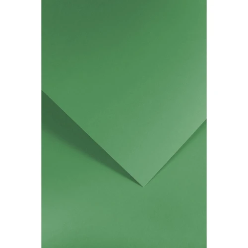 Papier ozdobny (wizytówkowy) Galeria Papieru gładki zielony A4 - zielony 210g (205512)