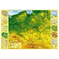 Podkład na biurko Derform Polska mapa [mm:] 490x340 (POPF)