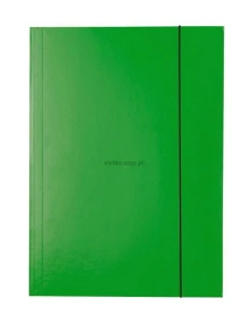 Teczka kartonowa na gumkę Esselte A4 kolor: zielony 400g (13437)