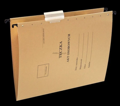 Teczka zawieszkowa Esselte A4 - siarczanowy 230g (15212)