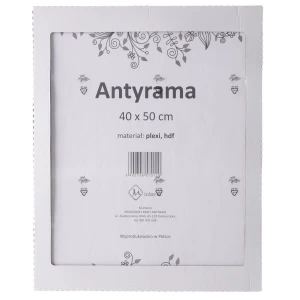 Antyrama M-interio plexi [mm:] 400x500