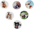 Magnes Fun&amp;Joy PIES I KOT okrągły - mix śr. 30mm 6 sztuk