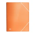 Teczka ofertowa Oxford Urban A4 kolor: mix 20 kieszeni (400147016)