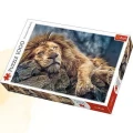 Puzzle Trefl Śpiący lew 1000 el. (10447)