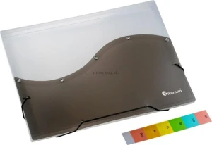 Teczka segregująca PP Titanum A4 z gumką 13 przegródek biało-czarna  (TP12BCT)