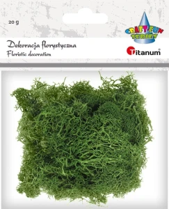 Dekoracja Craft-Fun Series dekoracja florystyczna mech chrobotek Titanum (2324045 DG)
